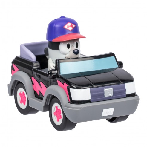 COCHE BLUEY